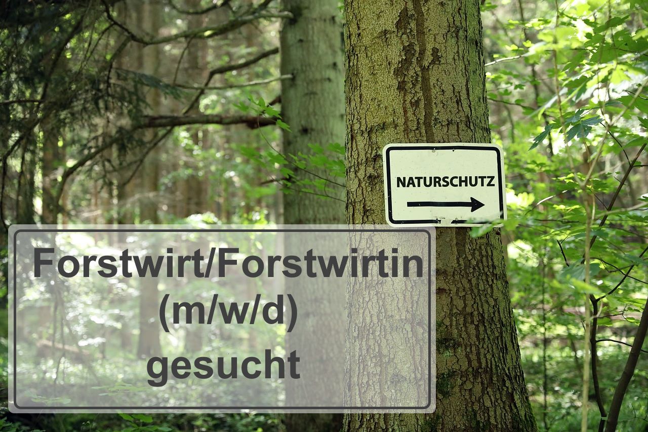 Forstwirt/Forstwirtin gesucht (Freie Pixabay Lizenz: Oliver-Graumnitz)